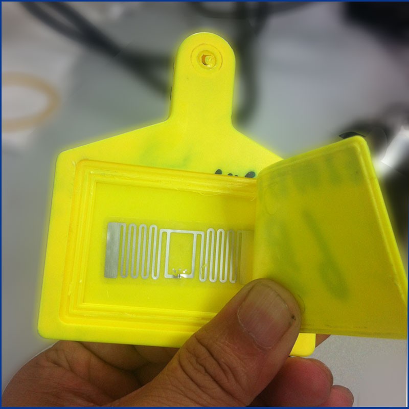 Tag Telinga Hewan RFID UHF Berkualitas Tinggi JT-307