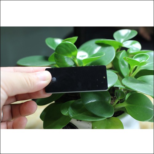 Label Logam UHF JT-6025