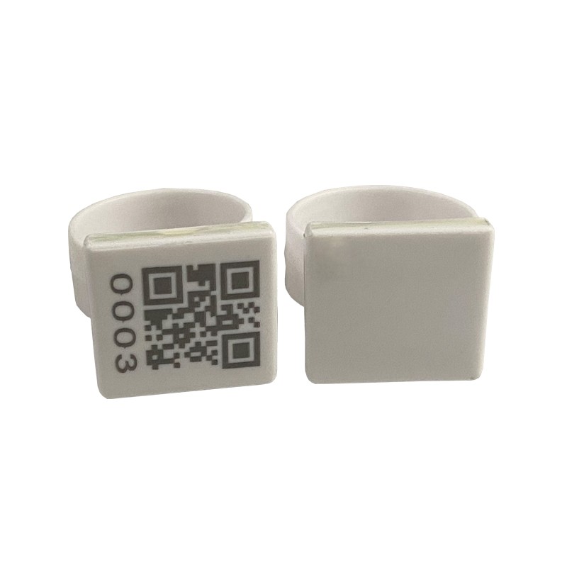 JT-D3020 UHF RFID Tag Cincin Kaki Hewan untuk Ayam, Bebek, dan Merpati