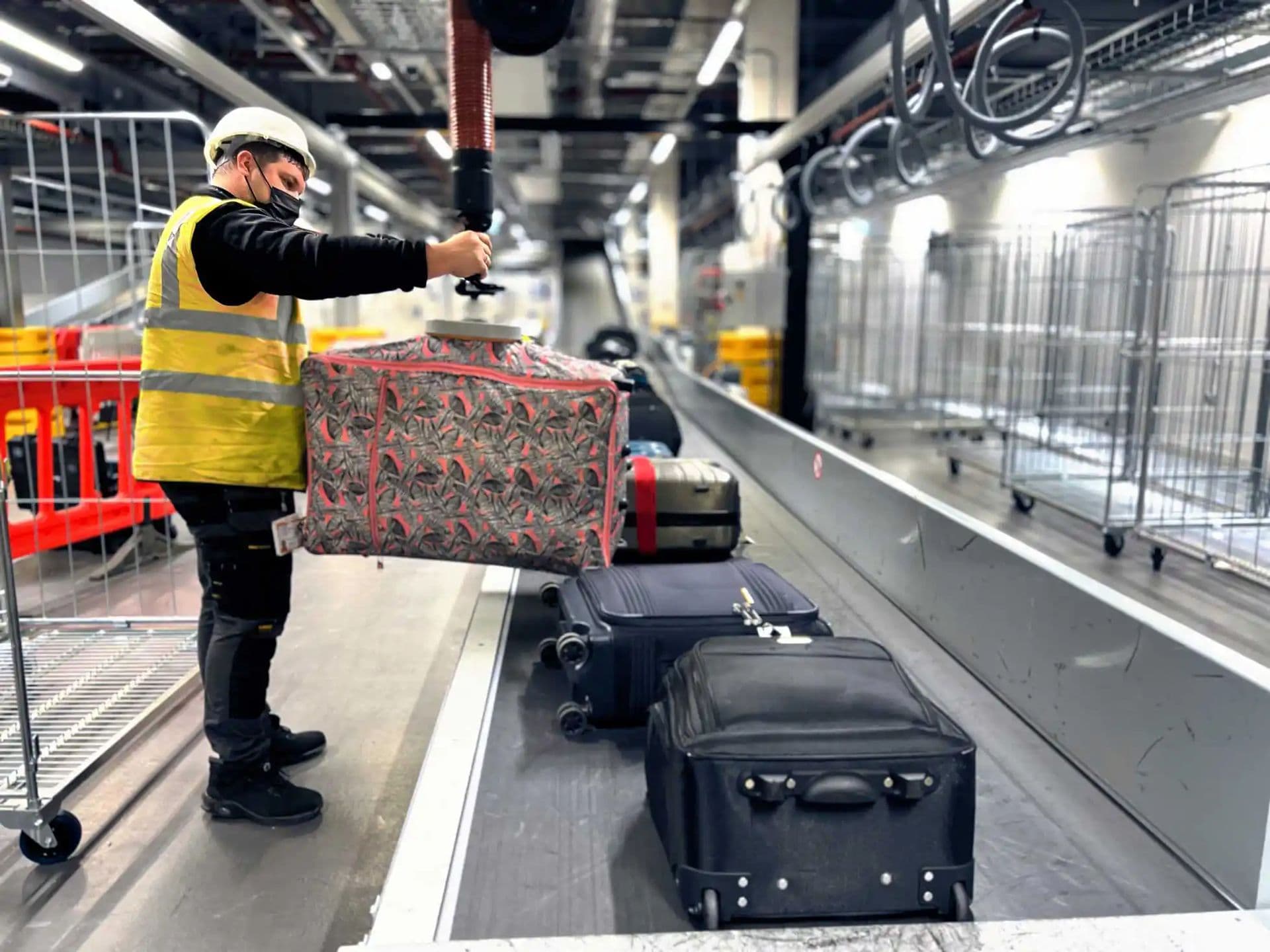 Transformasi Manajemen Peternakan dengan Teknologi RFID